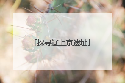 探寻辽上京遗址