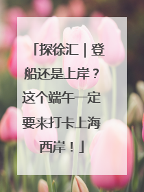探徐汇｜登船还是上岸？这个端午一定要来打卡上海西岸！