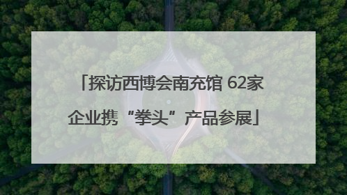 探访西博会南充馆 62家企业携“拳头”产品参展