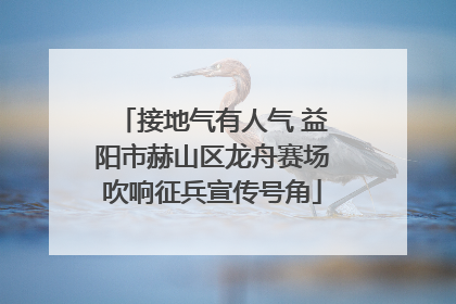 接地气有人气 益阳市赫山区龙舟赛场吹响征兵宣传号角