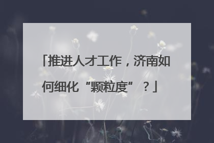 推进人才工作，济南如何细化“颗粒度”？