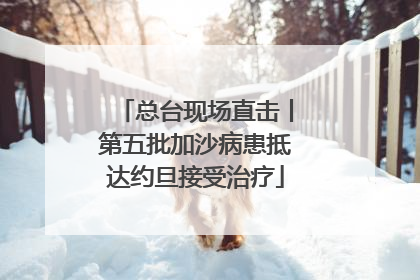 总台现场直击丨第五批加沙病患抵达约旦接受治疗