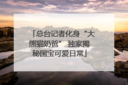 总台记者化身“大熊猫奶爸” 独家揭秘国宝可爱日常