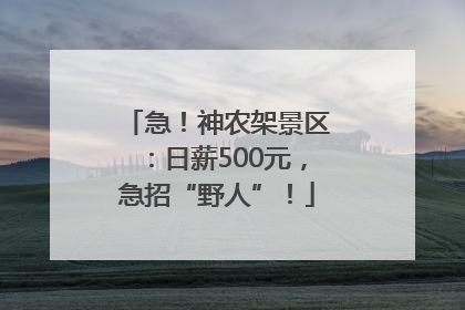 急！神农架景区：日薪500元，急招“野人”！