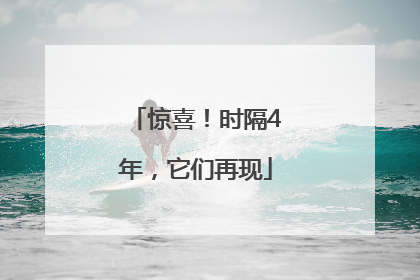 惊喜！时隔4年，它们再现