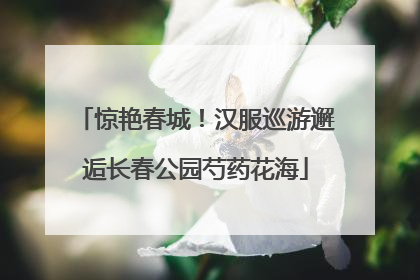 惊艳春城！汉服巡游邂逅长春公园芍药花海