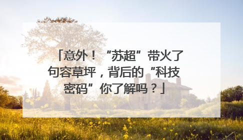 意外！“苏超”带火了句容草坪，背后的“科技密码”你了解吗？