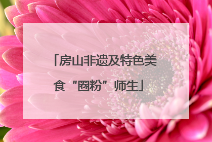 房山非遗及特色美食“圈粉”师生