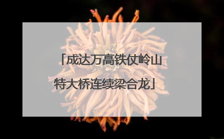 成达万高铁仗岭山特大桥连续梁合龙