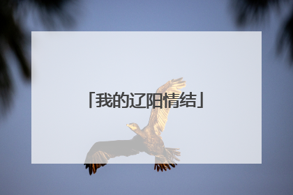我的辽阳情结