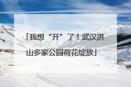我想“开”了！武汉洪山多家公园荷花绽放