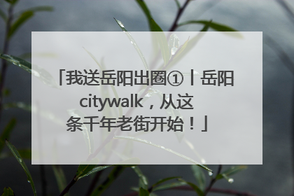 我送岳阳出圈①丨岳阳citywalk，从这条千年老街开始！