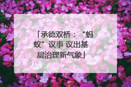 承德双桥：“蚂蚁”议事 议出基层治理新气象