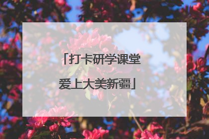 打卡研学课堂 爱上大美新疆