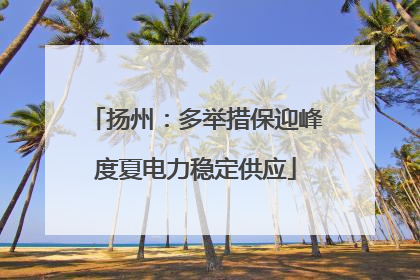 扬州：多举措保迎峰度夏电力稳定供应