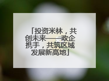 投资米林，共创未来——政企携手，共筑区域发展新高地