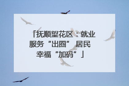 抚顺望花区：就业服务“出圈” 居民幸福“加码”