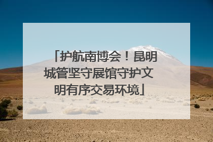 护航南博会！昆明城管坚守展馆守护文明有序交易环境