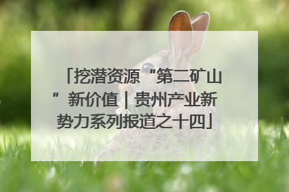 挖潜资源“第二矿山”新价值｜贵州产业新势力系列报道之十四