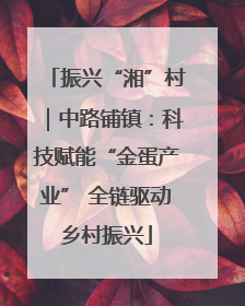 振兴“湘”村｜中路铺镇：科技赋能“金蛋产业” 全链驱动乡村振兴