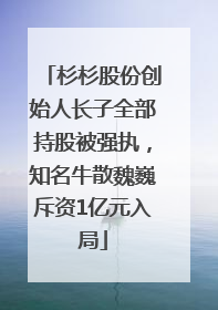 杉杉股份创始人长子全部持股被强执，知名牛散魏巍斥资1亿元入局