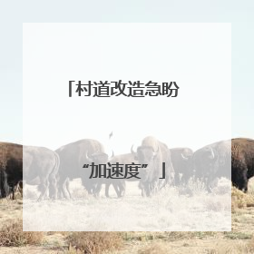 村道改造急盼“加速度”