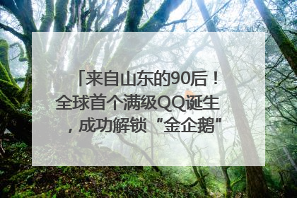 来自山东的90后！全球首个满级QQ诞生，成功解锁“金企鹅”，是继承父亲账号