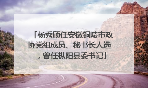 杨秀颀任安徽铜陵市政协党组成员、秘书长人选，曾任枞阳县委书记
