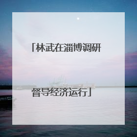 林武在淄博调研督导经济运行