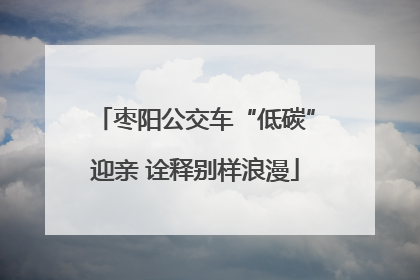 枣阳公交车“低碳”迎亲 诠释别样浪漫