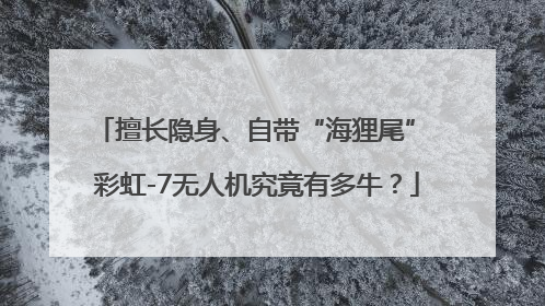 擅长隐身、自带“海狸尾” 彩虹-7无人机究竟有多牛？