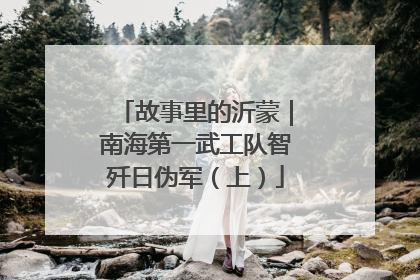 故事里的沂蒙｜南海第一武工队智歼日伪军（上）