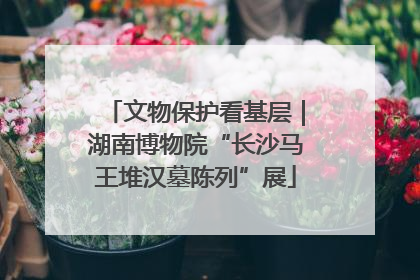 文物保护看基层｜湖南博物院“长沙马王堆汉墓陈列”展