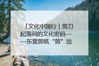 文化中国行｜剪刀起落间的文化密码——东营剪纸“剪”出非遗传承与现代生活的融合之道