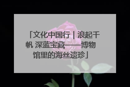文化中国行｜浪起千帆 深蓝宝藏——博物馆里的海丝遗珍