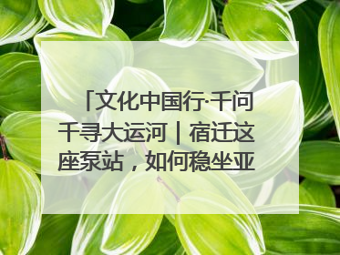 文化中国行·千问千寻大运河｜宿迁这座泵站，如何稳坐亚洲第一宝座？