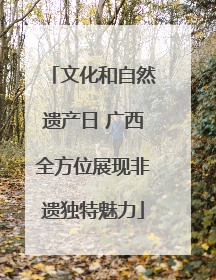 文化和自然遗产日 广西全方位展现非遗独特魅力