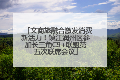 文商旅融合激发消费新活力！镇江润州区参加长三角C9+联盟第五次联席会议