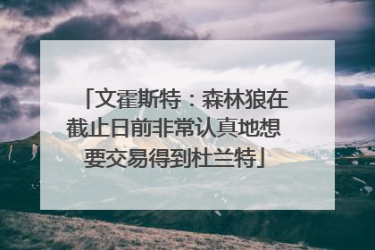 文霍斯特：森林狼在截止日前非常认真地想要交易得到杜兰特