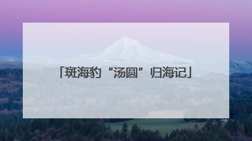 斑海豹“汤圆”归海记