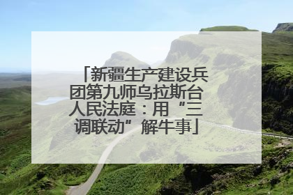新疆生产建设兵团第九师乌拉斯台人民法庭：用“三调联动”解牛事