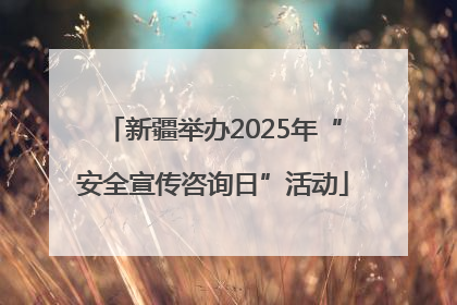 新疆举办2025年“安全宣传咨询日”活动