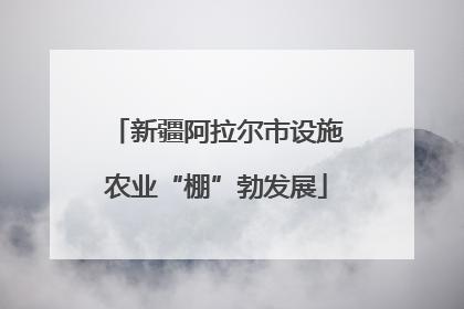 新疆阿拉尔市设施农业“棚”勃发展