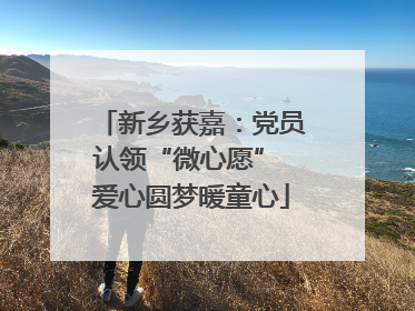 新乡获嘉：党员认领“微心愿” 爱心圆梦暖童心