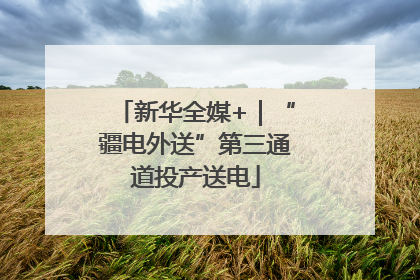 新华全媒+｜“疆电外送”第三通道投产送电