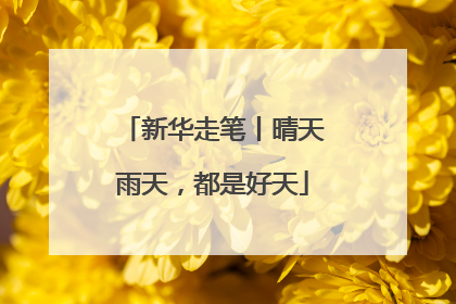 新华走笔丨晴天雨天，都是好天