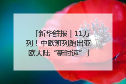 新华鲜报｜11万列！中欧班列跑出亚欧大陆“新时速”
