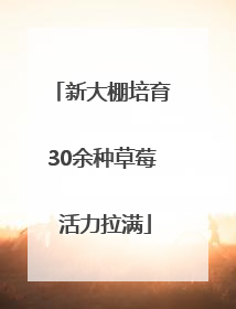 新大棚培育30余种草莓 活力拉满
