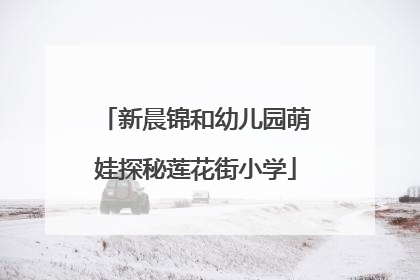 新晨锦和幼儿园萌娃探秘莲花街小学