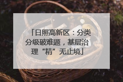 日照高新区：分类分级破难题，基层治理“精”无止境